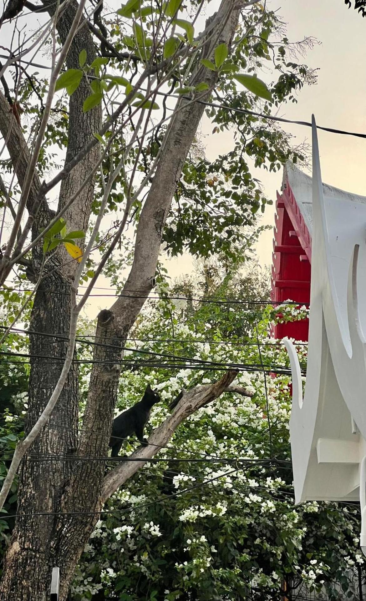 ホテル Baan Debtida バンコク都 エクステリア 写真