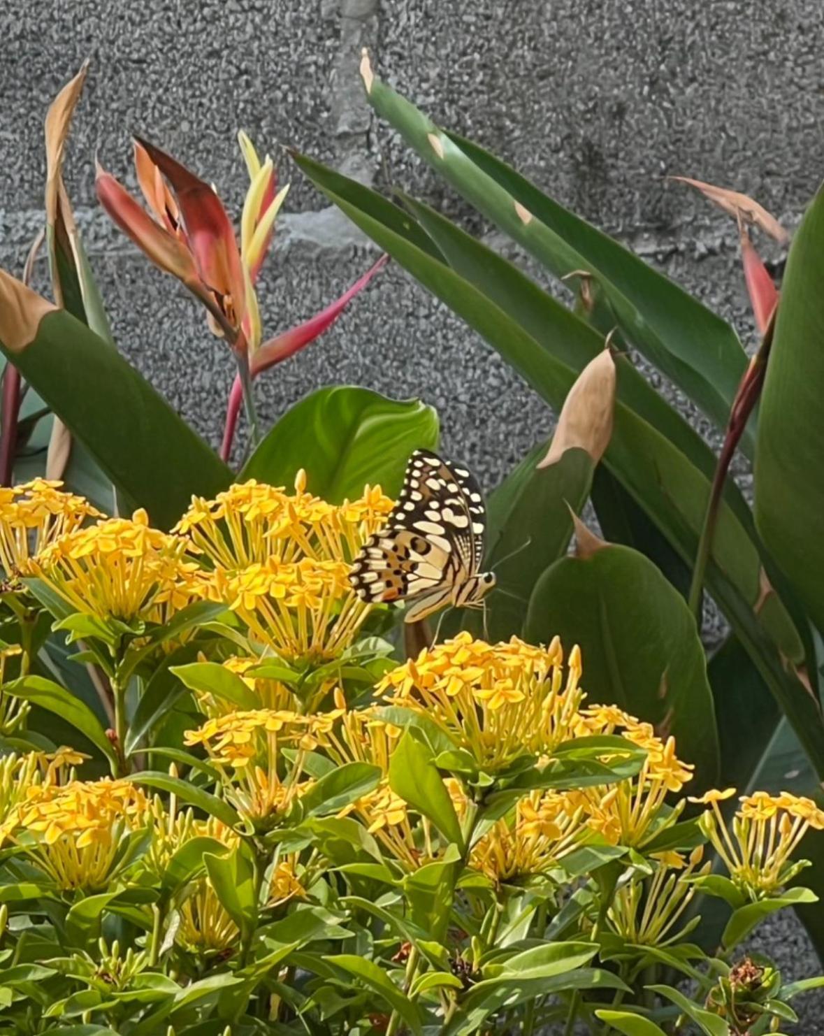 ホテル Baan Debtida バンコク都 エクステリア 写真