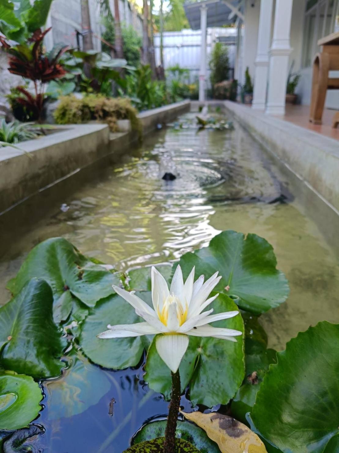 ホテル Baan Debtida バンコク都 エクステリア 写真