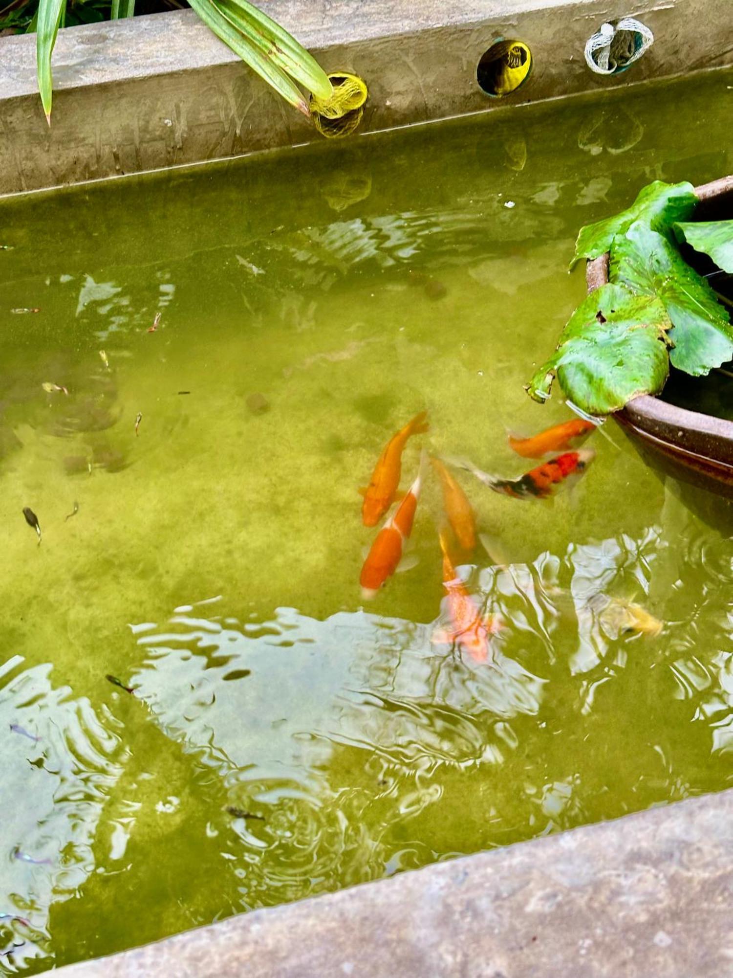 ホテル Baan Debtida バンコク都 エクステリア 写真